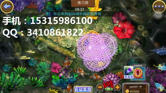 細(xì)數(shù)捕魚游戲軟件開(kāi)發(fā)的游戲技巧 趣味性十足與經(jīng)典套路設(shè)計(jì)